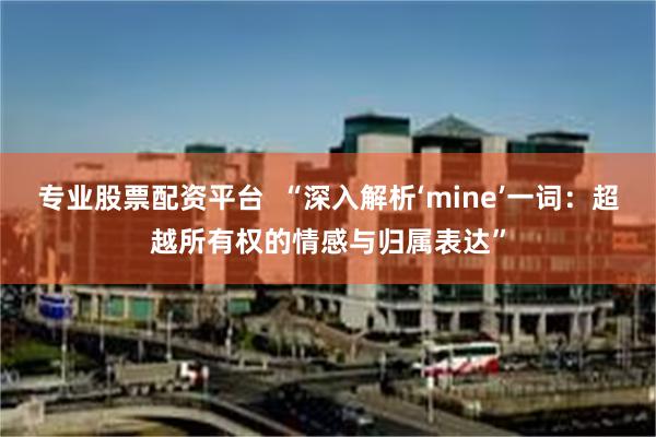 专业股票配资平台  “深入解析‘mine’一词：超越所有权的情感与归属表达”
