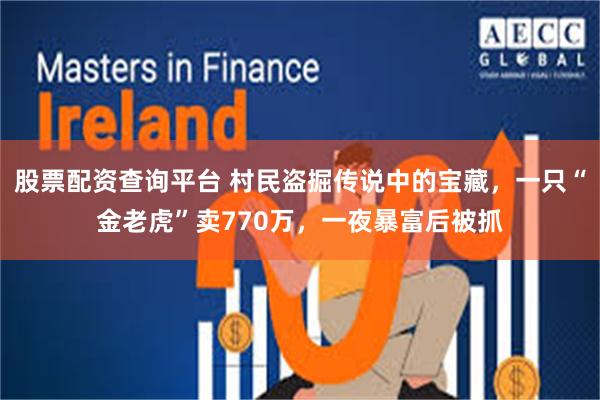股票配资查询平台 村民盗掘传说中的宝藏，一只“金老虎”卖770万，一夜暴富后被抓