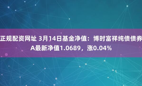 正规配资网址 3月14日基金净值：博时富祥纯债债券A最新净值1.0689，涨0.04%