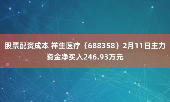 股票配资成本 祥生医疗（688358）2月11日主力资金净买入246.93万元