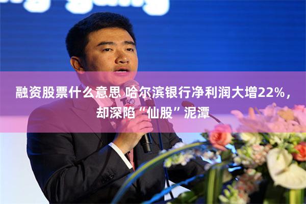 融资股票什么意思 哈尔滨银行净利润大增22%，却深陷“仙股”泥潭