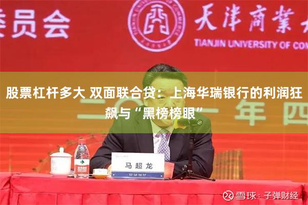 股票杠杆多大 双面联合贷：上海华瑞银行的利润狂飙与“黑榜榜眼”