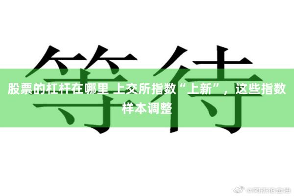 股票的杠杆在哪里 上交所指数“上新”，这些指数样本调整