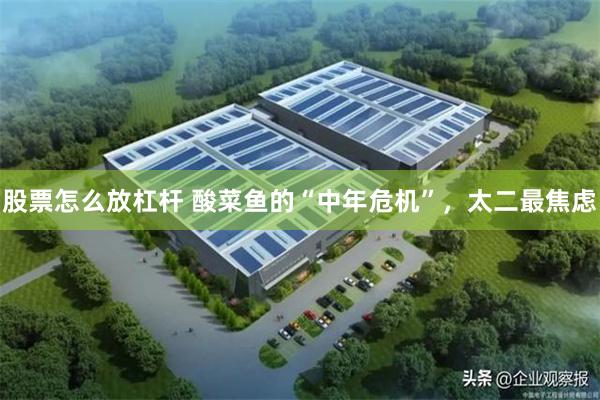 股票怎么放杠杆 酸菜鱼的“中年危机”，太二最焦虑