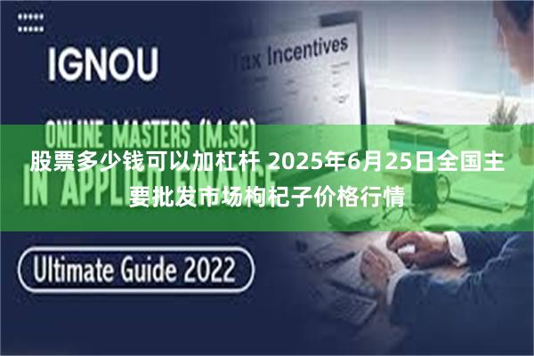 股票多少钱可以加杠杆 2025年6月25日全国主要批发市场枸杞子价格行情