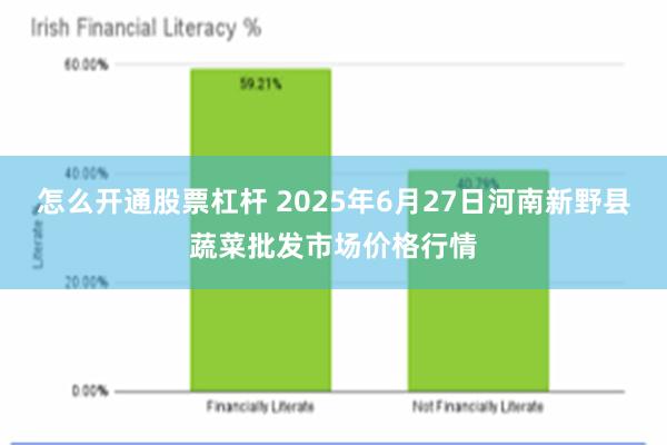 怎么开通股票杠杆 2025年6月27日河南新野县蔬菜批发市场价格行情