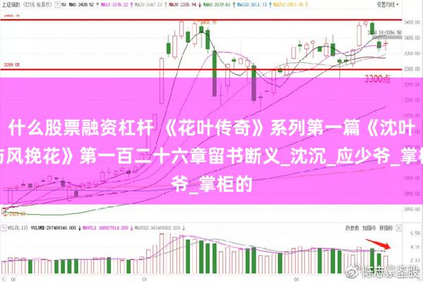 什么股票融资杠杆 《花叶传奇》系列第一篇《沈叶侠与风挽花》第一百二十六章留书断义_沈沉_应少爷_掌柜的
