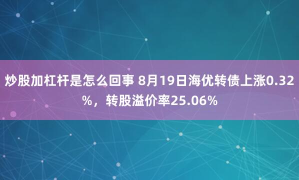 炒股加杠杆是怎么回事 8月19日海优转债上涨0.32%，转股溢价率25.06%