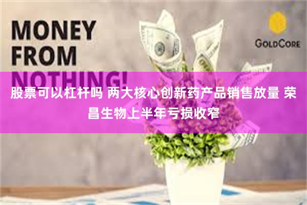 股票可以杠杆吗 两大核心创新药产品销售放量 荣昌生物上半年亏损收窄