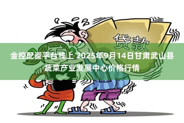 金控配资平台线上 2025年9月14日甘肃武山县蔬菜产业发展中心价格行情