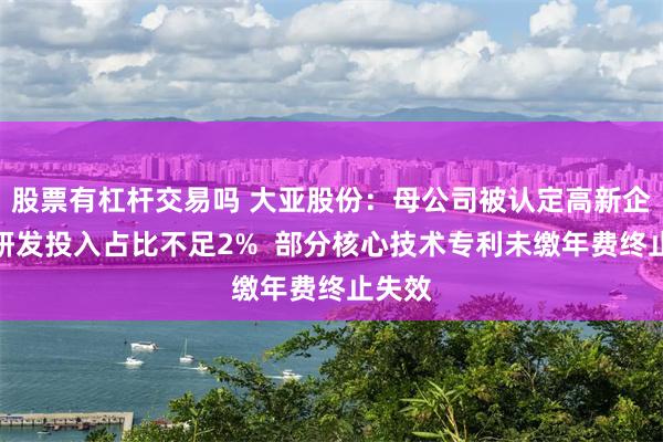 股票有杠杆交易吗 大亚股份：母公司被认定高新企业后研发投入占比不足2%  部分核心技术专利未缴年费终止失效